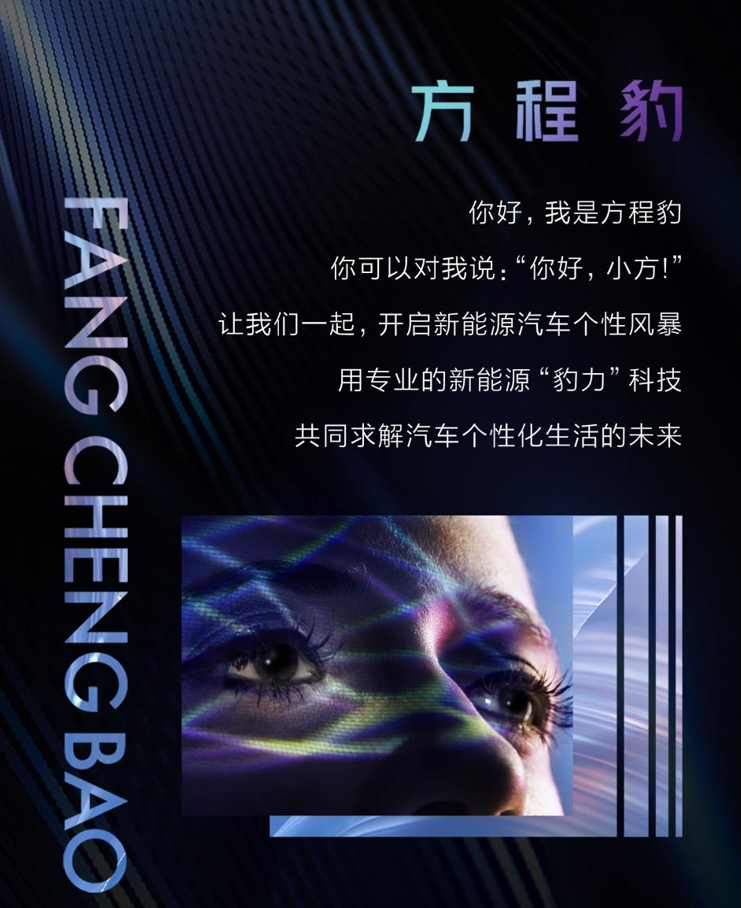 比亚迪F品牌官宣定名“方程豹”：定位新能源硬派SUV